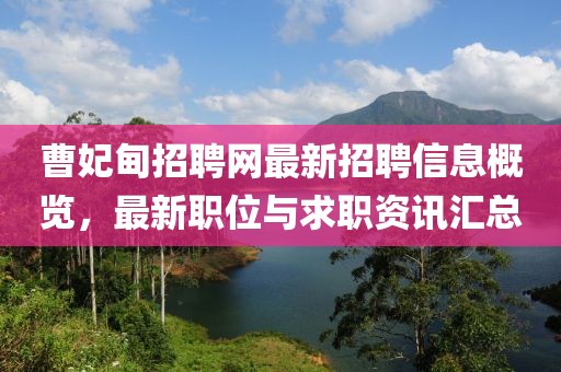 曹妃甸招聘網(wǎng)最新招聘信息概覽，最新職位與求職資訊匯總