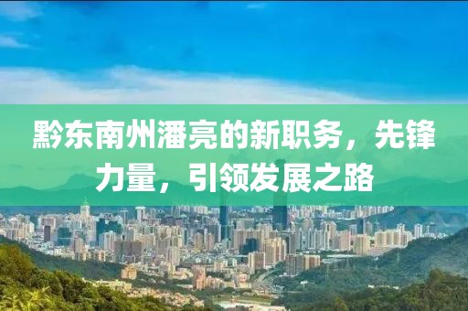 黔東南州潘亮的新職務(wù)，先鋒力量，引領(lǐng)發(fā)展之路