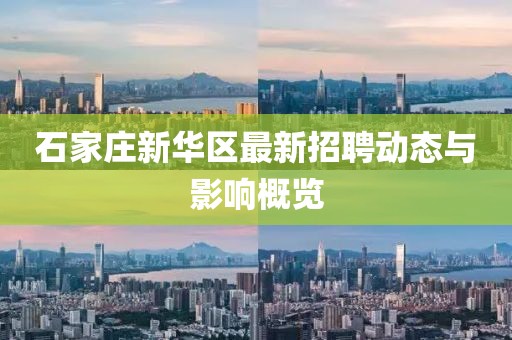 石家莊新華區(qū)最新招聘動(dòng)態(tài)與影響概覽