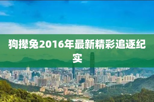 狗攆兔2016年最新精彩追逐紀(jì)實(shí)