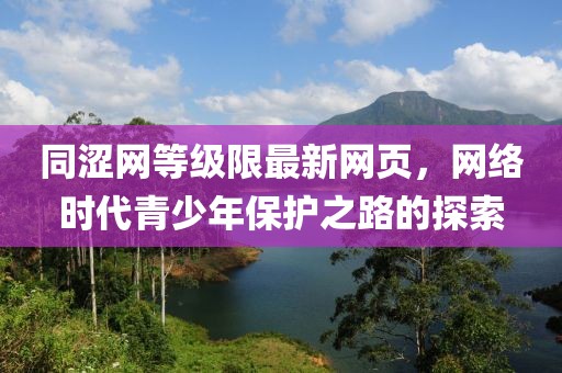 同澀網(wǎng)等級(jí)限最新網(wǎng)頁(yè)，網(wǎng)絡(luò)時(shí)代青少年保護(hù)之路的探索