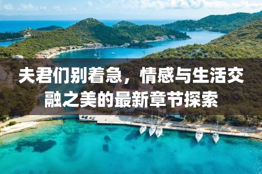 夫君們別著急，情感與生活交融之美的最新章節(jié)探索