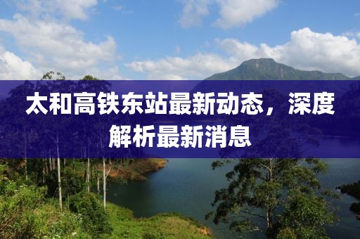 太和高鐵東站最新動態(tài)，深度解析最新消息