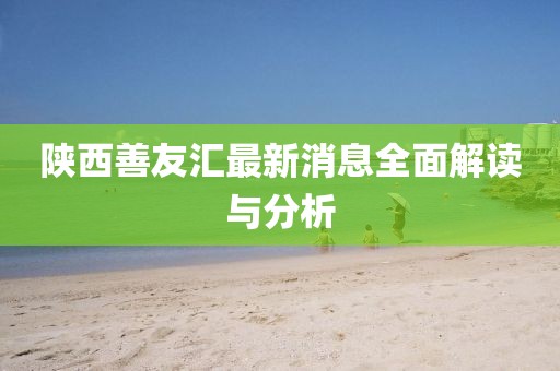 陜西善友匯最新消息全面解讀與分析
