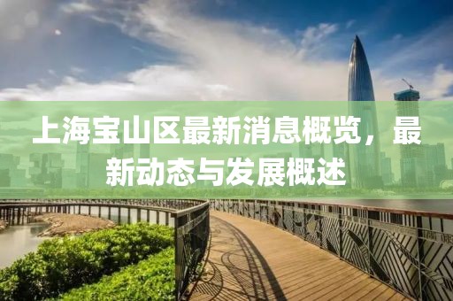 上海寶山區(qū)最新消息概覽，最新動(dòng)態(tài)與發(fā)展概述
