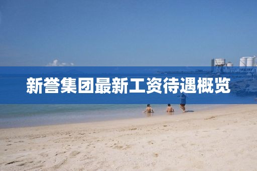 新譽(yù)集團(tuán)最新工資待遇概覽