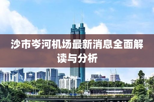 沙市岑河機場最新消息全面解讀與分析