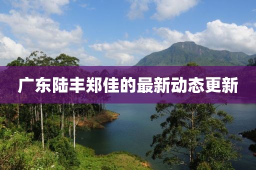 廣東陸豐鄭佳的最新動(dòng)態(tài)更新