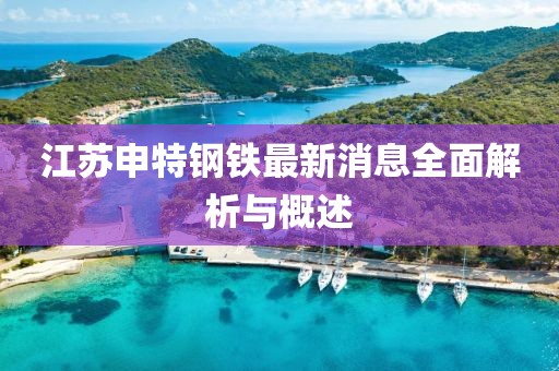 江蘇申特鋼鐵最新消息全面解析與概述