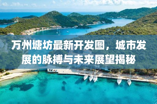 萬州塘坊最新開發(fā)圖，城市發(fā)展的脈搏與未來展望揭秘