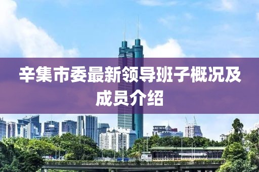 辛集市委最新領(lǐng)導(dǎo)班子概況及成員介紹