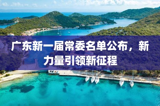 廣東新一屆常委名單公布，新力量引領(lǐng)新征程