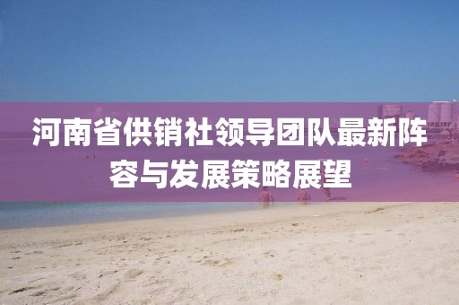河南省供銷社領導團隊最新陣容與發(fā)展策略展望