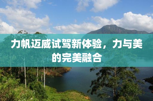 一槍撼天 第24頁