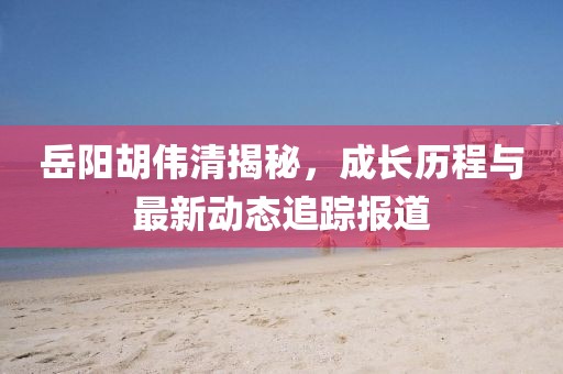 岳陽胡偉清揭秘，成長歷程與最新動態(tài)追蹤報道