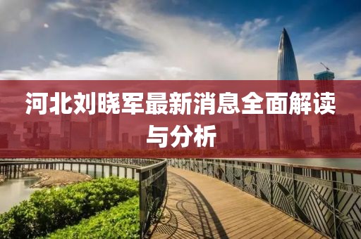 河北劉曉軍最新消息全面解讀與分析