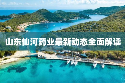 山東仙河藥業(yè)最新動(dòng)態(tài)全面解讀