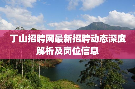 丁山招聘網(wǎng)最新招聘動態(tài)深度解析及崗位信息
