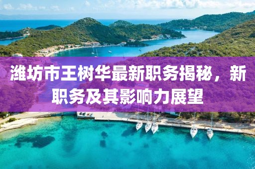 濰坊市王樹華最新職務(wù)揭秘，新職務(wù)及其影響力展望