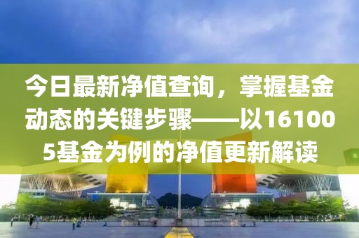 今日最新凈值查詢，掌握基金動(dòng)態(tài)的關(guān)鍵步驟——以161005基金為例的凈值更新解讀