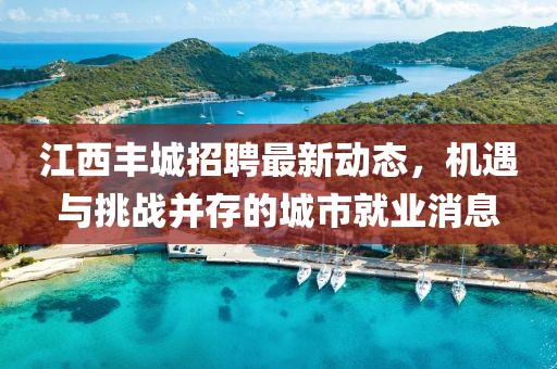 江西豐城招聘最新動態(tài)，機(jī)遇與挑戰(zhàn)并存的城市就業(yè)消息