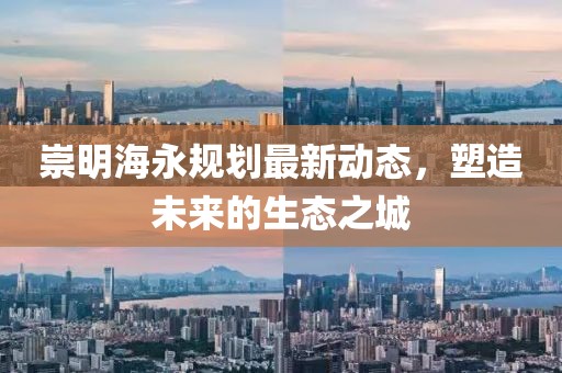 崇明海永規(guī)劃最新動態(tài)，塑造未來的生態(tài)之城