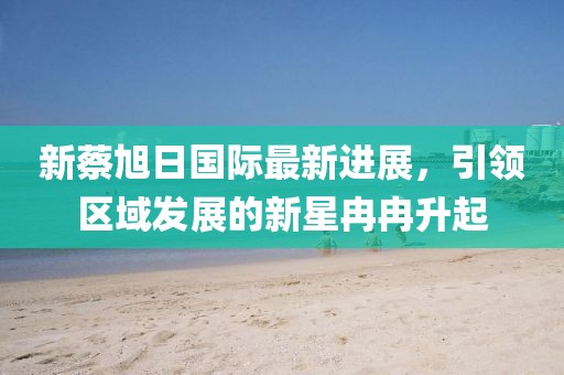 新蔡旭日國(guó)際最新進(jìn)展，引領(lǐng)區(qū)域發(fā)展的新星冉冉升起