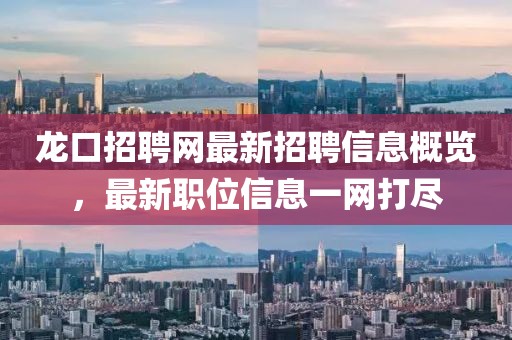 龍口招聘網(wǎng)最新招聘信息概覽，最新職位信息一網(wǎng)打盡