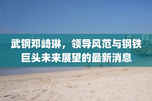 武鋼鄧崎琳，領(lǐng)導(dǎo)風(fēng)范與鋼鐵巨頭未來展望的最新消息