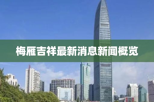 梅雁吉祥最新消息新聞概覽