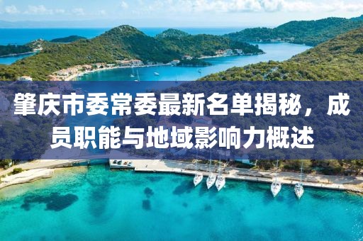 肇慶市委常委最新名單揭秘，成員職能與地域影響力概述