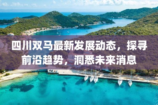 四川雙馬最新發(fā)展動態(tài)，探尋前沿趨勢，洞悉未來消息