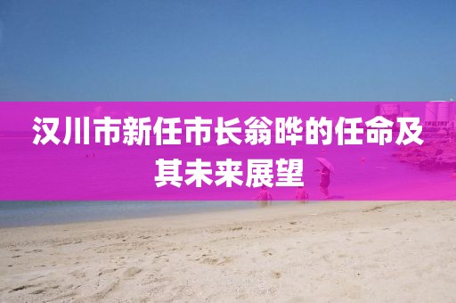 漢川市新任市長(zhǎng)翁曄的任命及其未來展望