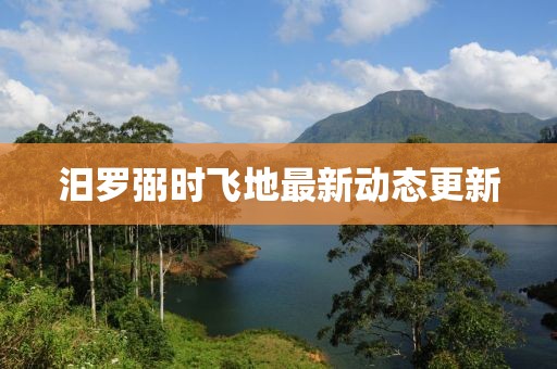 汨羅弼時(shí)飛地最新動(dòng)態(tài)更新