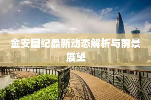 金安國紀最新動態(tài)解析與前景展望