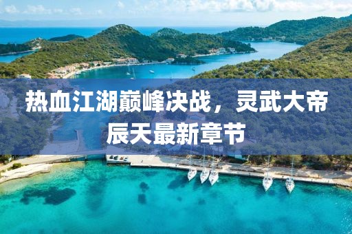 熱血江湖巔峰決戰(zhàn)，靈武大帝辰天最新章節(jié)