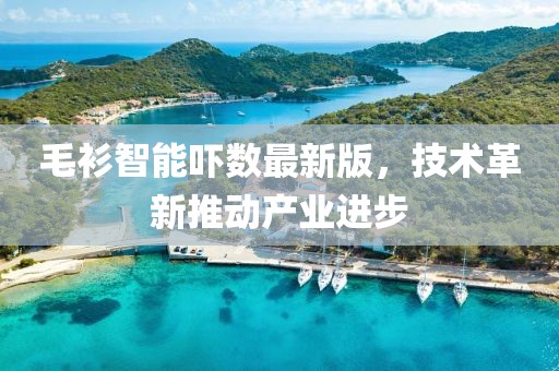 毛衫智能嚇數(shù)最新版，技術(shù)革新推動(dòng)產(chǎn)業(yè)進(jìn)步