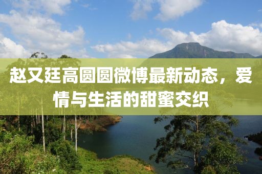 趙又廷高圓圓微博最新動態(tài)，愛情與生活的甜蜜交織