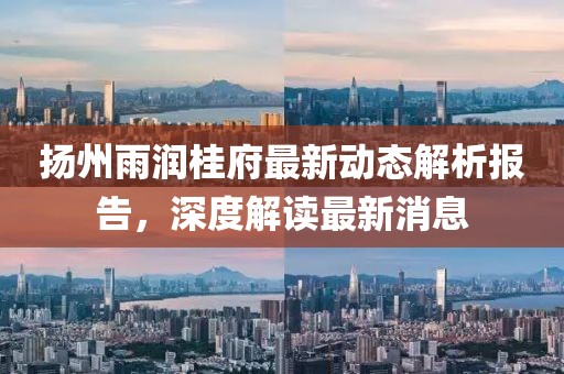 揚(yáng)州雨潤桂府最新動態(tài)解析報(bào)告，深度解讀最新消息