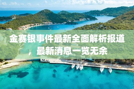 金賽銀事件最新全面解析報(bào)道，最新消息一覽無余
