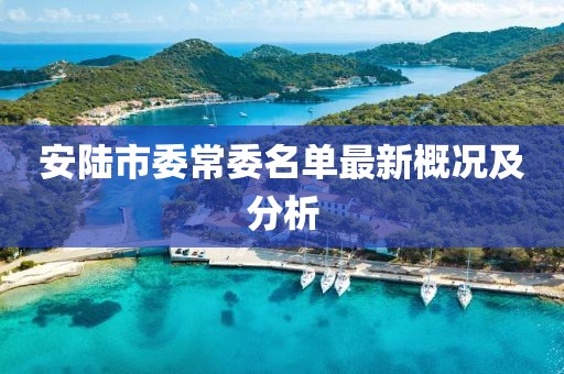 安陸市委常委名單最新概況及分析