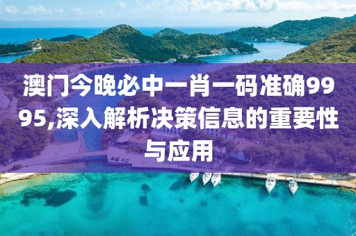 澳門今晚必中一肖一碼準確9995,深入解析決策信息的重要性與應用