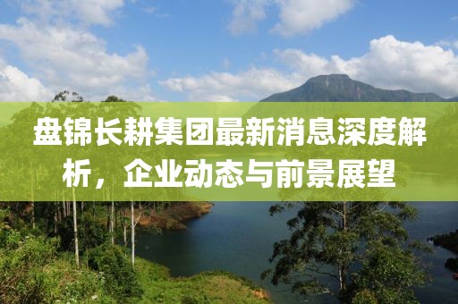 盤(pán)錦長(zhǎng)耕集團(tuán)最新消息深度解析，企業(yè)動(dòng)態(tài)與前景展望