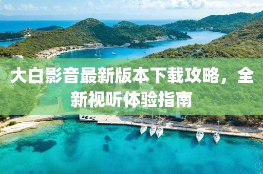 大白影音最新版本下載攻略，全新視聽(tīng)體驗(yàn)指南