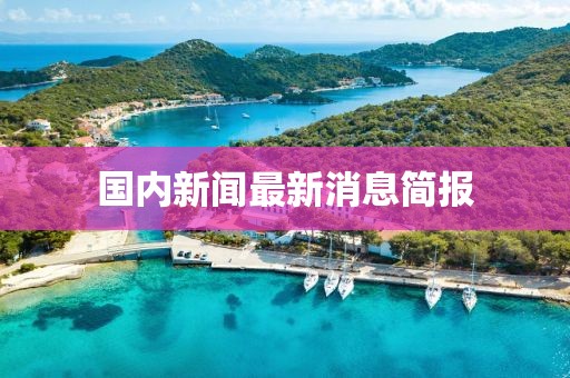 國(guó)內(nèi)新聞最新消息簡(jiǎn)報(bào)