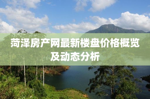 菏澤房產(chǎn)網(wǎng)最新樓盤價(jià)格概覽及動(dòng)態(tài)分析