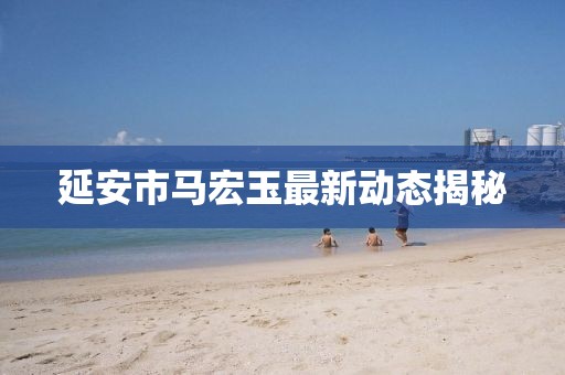 延安市馬宏玉最新動態(tài)揭秘