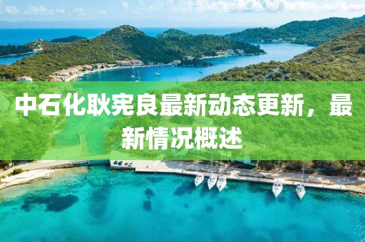 中石化耿憲良最新動態(tài)更新，最新情況概述