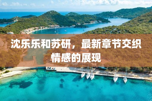 沈樂樂和蘇研，最新章節(jié)交織情感的展現(xiàn)