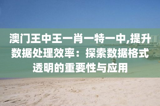 澳門王中王一肖一特一中,提升數據處理效率：探索數據格式透明的重要性與應用